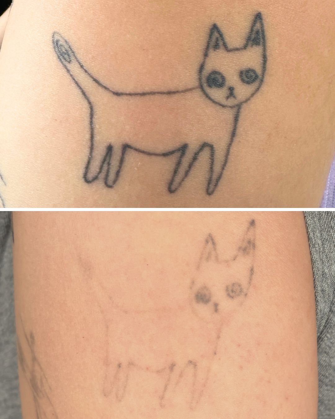 Line-art cat heavily faded in three sessions.